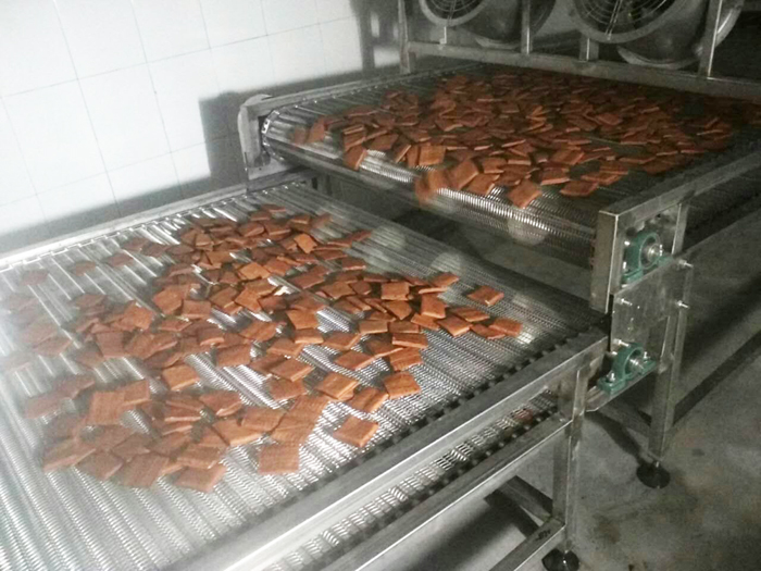 網帶輸送機應用案例